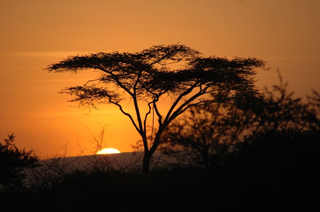 018   Zachód Słońca Na Sawannie, Etiopia